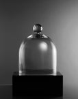 Medium Vintage Glass Cloche Domes