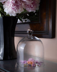 Medium Vintage Glass Cloche Domes