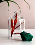 Miniature Vintage Glass Cloche Domes