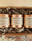 Luxury mini scented candles gift set, bestselling trio of vintage bookshop, zen, wild fig and oakmoss, hand-poured in England, cruelty-free, eco-friendly by Ralph's Orchard at brixbailey.com