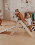 Montessori Climbing Triangle and Ramp Indoor Play Gym