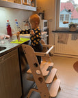 Montessori Learning Tower and High Chair Combo