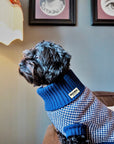 Navy Dog Jumper In Merino Lambswool