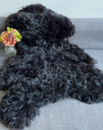 Luxury natural black Icelandic sheepskin rug, premium undyed shorn 50mm sheep hide, best-selling hypoallergenic free-range throw by Wildash London at brixbailey.com