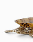 New Born Turtle Salt Cellar and Pepper Pots with Spoons - Pair