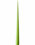 Olivia's Apple Bite Large Taper Candles