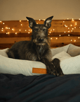 THE HIGHCLERE | LUXURY MEMORY FOAM BOLSTER DOG BED