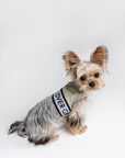 Ribbon Pastel Harness