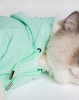 Pastel Hoodie