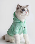 Pastel Hoodie