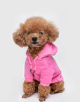 Pastel Hoodie