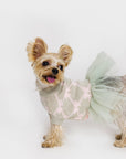 Jacquard Bowknot Jumper with Skirt
