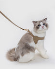 Leather Harness