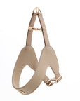 Leather Harness Set