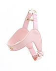 Leather Harness