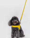Leather Harness Set
