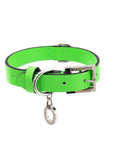 Premium Leather Collar