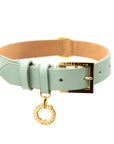 Premium Leather Collar