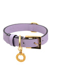Premium Leather Collar