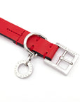 Premium Leather Collar