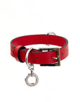Premium Leather Collar