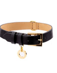 Premium Leather Collar