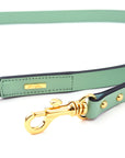 Premium Leather Lead