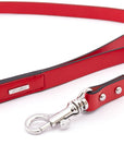 Premium Leather Lead
