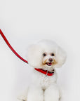 Premium Leather Lead