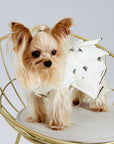 Pleated Dress with Embroider (Cream)