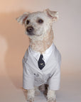 Suit Jacket