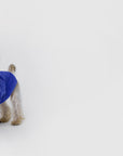 Thin Sweater with Overglam Stamp