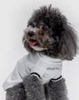 T-Shirt With Funny Slogan