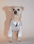 Waistcoat
