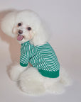 Zig-Zag Cardigan Sweater