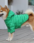 Zip-up Puffer Jacket with Hood