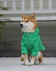 Zip-up Puffer Jacket with Hood