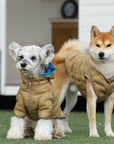Zip-up Puffer Jacket with Hood
