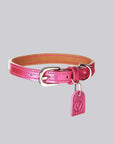 Gloss Collar