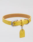 Leather Collar