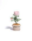Cozy Roses Table-top Plant