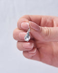 Penguin Silver Charm