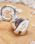 Penguin Silver Charm