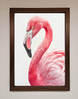 Pink Flamingo Stare Framed Print