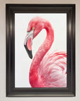 Pink Flamingo Stare Framed Print