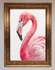 Pink Flamingo Stare Framed Print