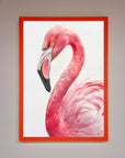 Pink Flamingo Stare Framed Print