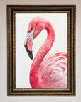 Pink Flamingo Stare Framed Print