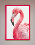 Pink Flamingo Stare Framed Print
