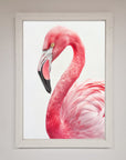 Pink Flamingo Stare Framed Print